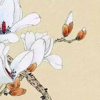 五鬼18和81区别 危害最大车牌号提前避开