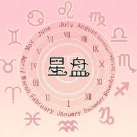 明星光盘看工作，看到几个宫殿的主要明星，分别是十二宫