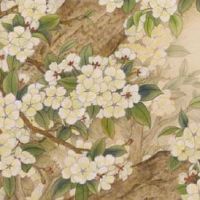 正月十一的风俗和禁忌 出行注意不拌嘴