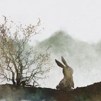 2022年，桃花，六大黄道十二生肖，吉兴，靠近弗吉尼