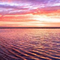 2022胡姓Tiger Baby Name方法和推荐