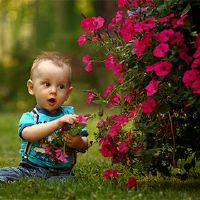 李姓很少，老虎男孩名字2022