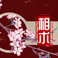 好赌博的女人，眉毛引人注目的人