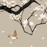 什么数字做车牌号码好 五行命理大吉的车牌尾号