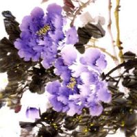 车牌358数字含义 偏财旺运的大吉车牌号码