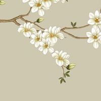 带有120三个数字的车牌号码 吉祥带财的车牌数字