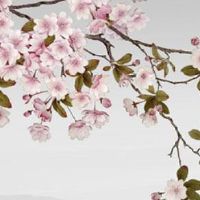 夫妻宫相害一定会离婚吗 婚姻宫逢刑害对婚姻的危害