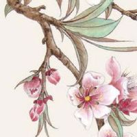 去女方家订婚要带什么东西 提亲礼金给多少好