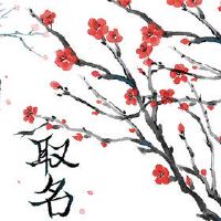 公司名称为[SHAKE]字是什么？