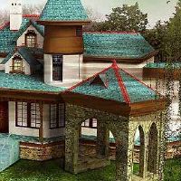 家里有什么样的树风改善了我们的财富