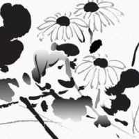 2022年4月8日出生最佳女宝宝名字鉴赏 简单吉利属虎取名