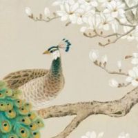 新能源号码吉凶分析 旺运势的车牌号码数字