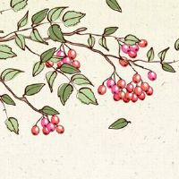 本命年带自己的属相好吗 本命年属虎人戴狗生肖能消灾祸