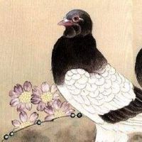 车牌总数相加多少是大吉 保一路平安号码