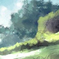 女人梦想海螺是什么意思