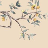 如何选手机号码:最旺属鸡人的5个数字