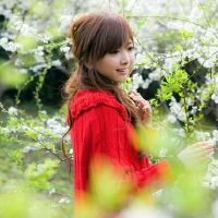 具有杰作的三个主要星座之一