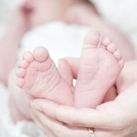 2022年正月初五虎宝宝最佳名字 生肖虎孩子好名字大全