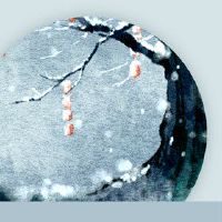 春节的特性和超详细科学的栽培