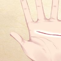 中年职业是穷人，商业线的浅手不顺利