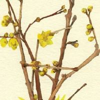 2022年4月12日出生的属虎女宝宝取名 女孩名字寓意好的