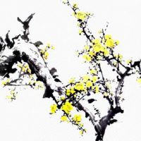 2022年4月14日出生女宝宝怎么起名好 生肖虎名字大气简约