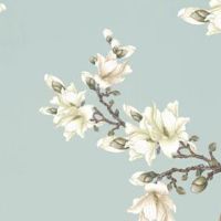 大林木适合生什么孩子 此命格出生最佳时辰