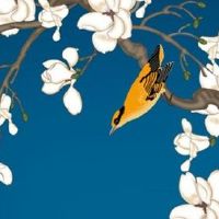 公司三个名字怎么取才好 简约好听的企业起名