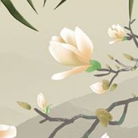 五行属什么旺金命 此命格最佳旺运势方位