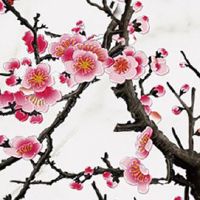 八字金多的女人命好吗 五行流通生旺气生财气