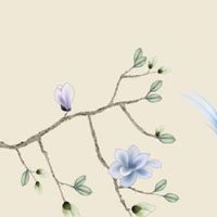 2022年春节属猴人幸运色幸运数字查询 招财颜色是什么