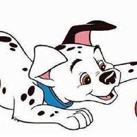 1994年，一只狗女2022年八十名八十二岁的八十二岁的女性1994年的2022周年