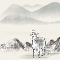 十二生肖如何在2022年的感情中？今年适合婚姻吗？