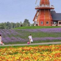 我的命中八个字符是真的吗？