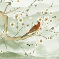 新能源车牌号可以换吗 选大吉车牌号秘籍推荐