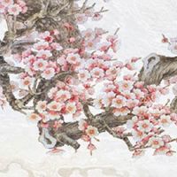 上海新能源牌照自编选号攻略 吉祥的连号车牌号码