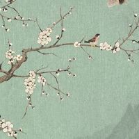 新能源车牌几个字母 环保吉祥的车牌号码