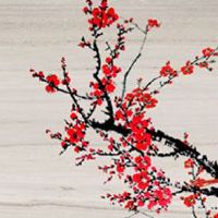 五行缺木手机号码最好的数字 生辰八字看五行号码