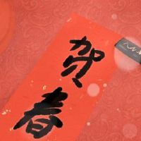 在新的一年里散步亲戚