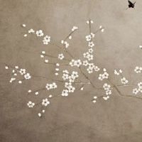 武汉新能源车牌号自编号规则 盘点招财车牌号选择技巧