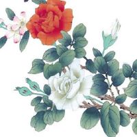 本命年陪人去堕胎怎么化解 佩戴护身符、放生解怨