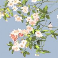 公司名字大全两个字 企业起带财运可靠的名字