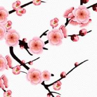 2022年正月初八出生的男孩八字五行查询 气质优雅命格不凡