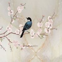 汽车养护中心名字大全 招财旺运的店铺起名