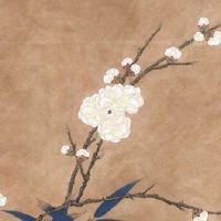 羊和狗在一起对谁不利 二者交往易有纠纷需提防