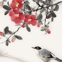 鼠跟什么相合和什么不合 属牛人为婚姻事业最佳搭档