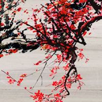 怎么查自己五行缺什么 大吉的手机号码磁场解读