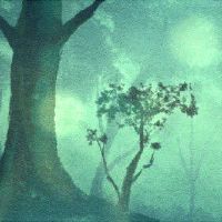 2022年甲木女流年运势 生活顺遂快乐努力上进