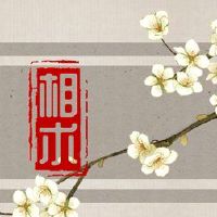 额头突出了一个女人在脸部中间脸