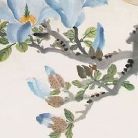 2022年4月17日出生的女宝宝名字合集 属虎起名寓意美好的